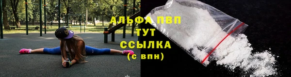 амф Горняк