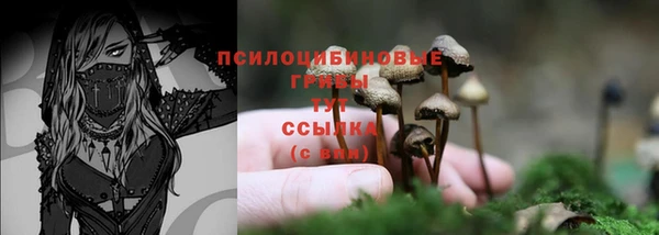кокаин премиум Гусь-Хрустальный