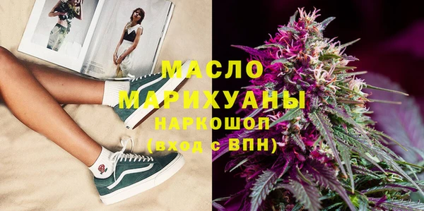 амф Горняк