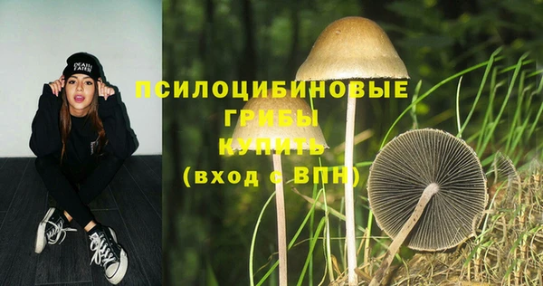 прущие крисы Гусиноозёрск