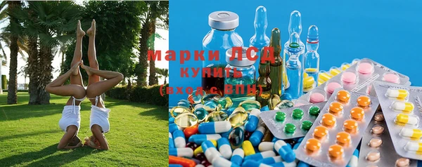 амф Горняк